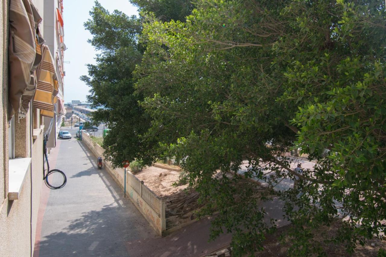 113 Beach And Trees - Alicante Holiday Torrevieja Zewnętrze zdjęcie